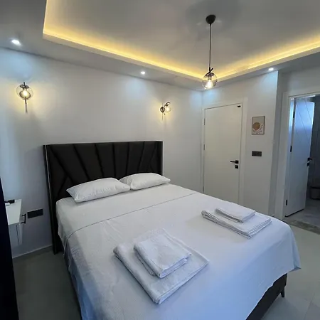 Pachira * 费特希耶